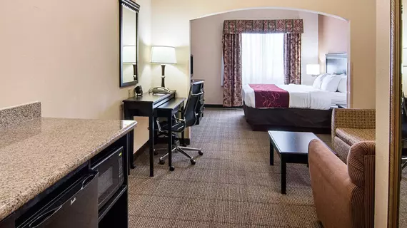 COMFORT SUITES SHREVEPORT | Louisiana - Bossier Parish - Shreveport (ve civarı) - Shreveport