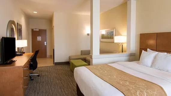 Comfort Suites Bossier City - Shreveport East | Louisiana - Bossier Parish - Shreveport (ve civarı) - Bossier City