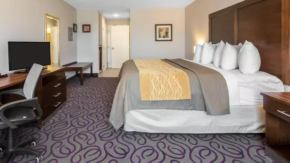 COMFORT INN & SUITES LOVINGTON | New Mexico - Lovington