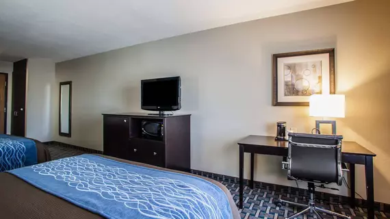 Comfort Inn Lees Summit | Missouri - Kansas City (ve civarı) - Lee's Summit