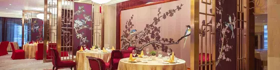 WorldHotel Grand Jiaxing Hunan | Hunan - Changsha - Yue Lu