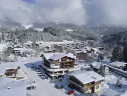 Hotel Alpin Scheffau | Tirol - Kitzbühel District - Kufstein (ve civarı) - Scheffau am Wilden Kaiser