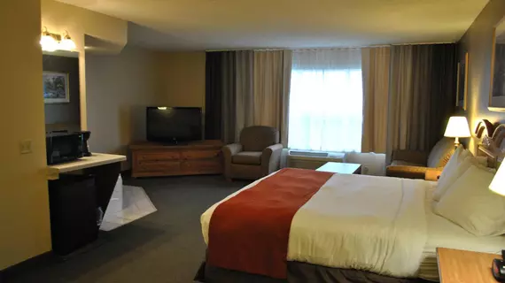 Country Inn By Carlson Buffalo | Minnesota - Monticello (ve civarı) - Buffalo