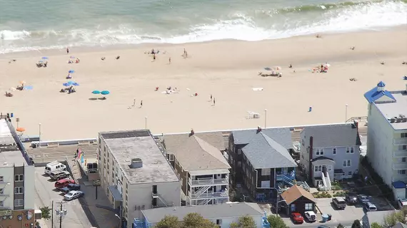 Safari Motel Boardwalk | Maryland - Ocean City (ve civarı) - Ocean City