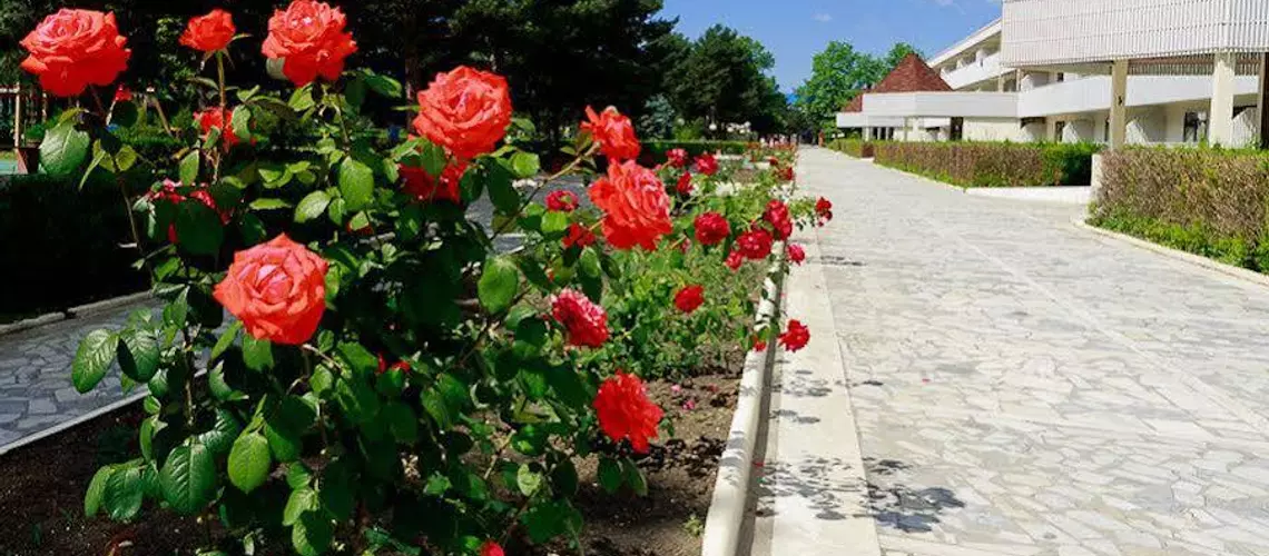 Lastochka Resort | Krasnodar Krayı - Anapa