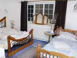 Da Vinci Guest House Gatwick | Batı Sussex (kontluk) - Crawley - Ifield