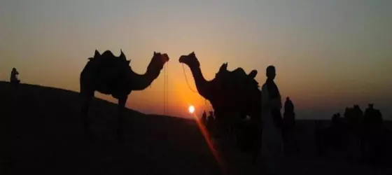 Desert Safariors Camps | Racastan - Jaisalmer (ve civarı) - Jaisalmer