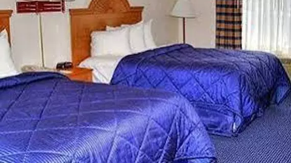 Quality Inn Kalamazoo | Michigan - Kalamazoo (ve civarı) - Kalamazoo