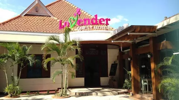 Lovender Guesthouse | Doğu Cava - Malang