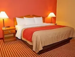 COMFORT INN & SUITES CINCINNATI | Ohio - Cincinnati (ve civarı) - Cincinnati - St. Bernard