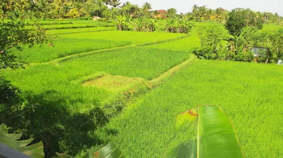 Panorama Ubud Private Villa | Bali - Ubud - Kedewatan