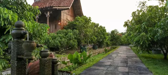 Omah Kecebong Guest House | Yogyakarta Özel Bölgesi - Yogyakarta (ve civarı) - Sleman