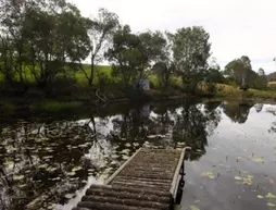 Misty Mountain Retreat | Queensland - Brisbane (ve civarı) - Mount Samson