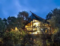 Teniqua Treetops Tented Treehouse Resort | Western Cape (il) - Knysna