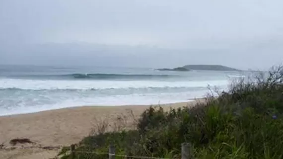 The Tahitian | New South Wales - Coffs Limanı (ve civarı) - Coffs Harbour