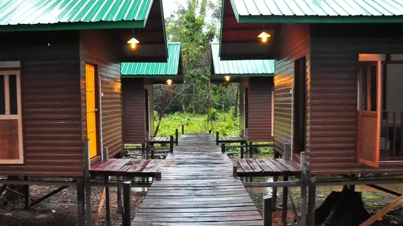 Kinabatangan Sunshine Lodge | Sabah - Kota Kinabatangan - Kampung Bilit