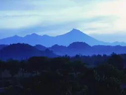 Puri Rinjani Bungalows