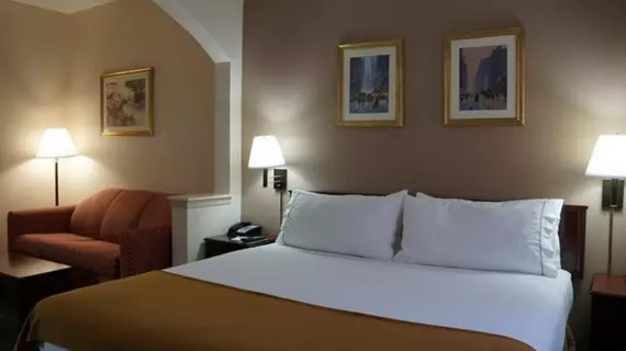 Holiday Inn Express Hotel & Suites Fort Worth West/I-30 | Teksas - Fort Worth (ve civarı) - Fort Worth