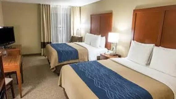 Comfort Inn and Suites | Missouri - Springfield (ve civarı) - Springfield