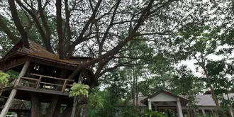 Tree House Hotel