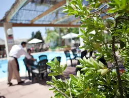 Mac Paradiso Garden | Balearic Adaları - Mayorka Adası - Palma de Mallorca - El Arenal