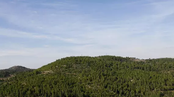 Ein Kerem | Mate Yehuda Bölge Konseyi - Kudüs (ve civarı) - Kudüs