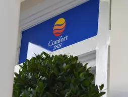 Comfort Inn London - Westminster | Londra (ve civarı) - City of Westminster - Pimlico