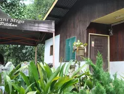 Tanak Nabalu Homestay | Sabah - Kota Kinabalu (ve civarı) - Kota Kinabalu - Kampung Sinulihan