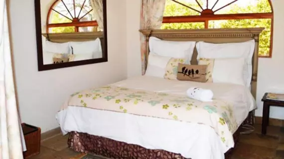 Blue Mango Lodge | Gauteng - City of Tshwane - Johannesburg (ve civarı) - Kempton Park