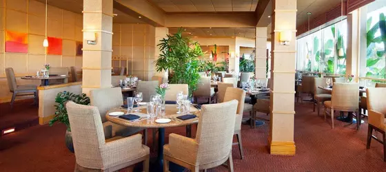 Sheraton La Jolla | Kaliforniya - San Diego County - San Diego Sahili