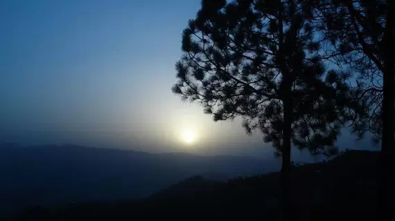 Woodsvilla Resort | Uttarkand - Almora (ve civarı) - Ranikhet