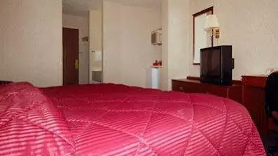 COMFORT INN NORTH - AIR FORCE ACADEMY AREA | Kolorado - Colorado Springs (ve civarı) - Colorado Springs - Pikeview