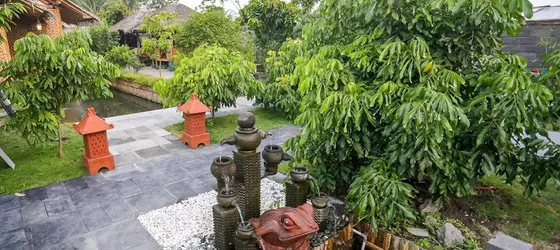 Omah Kecebong Guest House | Yogyakarta Özel Bölgesi - Yogyakarta (ve civarı) - Sleman