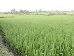 Rumah Surga Villa | Bali - Ubud