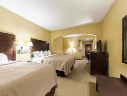 Comfort Inn & Suites Lafayette | Louisiana - Lafayette (ve civarı) - Lafayette