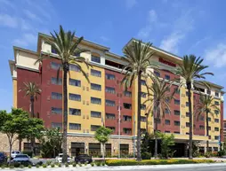 Sheraton Garden Grove-Anaheim South | Kaliforniya - Orange County - Anaheim - Anaheim Resort