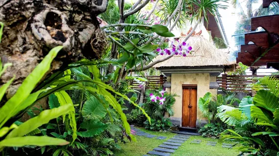 The Bali Dream Villa Seminyak | Bali - Badung - Günbatımı Yolu