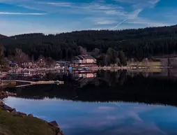 Maritim TitiseeHotel | Baden-Wuerttemberg - Titisee-Neustadt