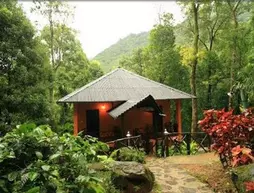 Blue Ginger Wayanad Resorts | Kerala - Wayanad Kesimi - Vayittiri