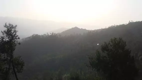 Woodsvilla Resort | Uttarkand - Almora (ve civarı) - Ranikhet