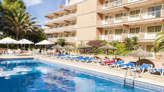 Delfin Siesta Mar | Balearic Adaları - Mayorka Adası - Calvia - Santa Ponsa