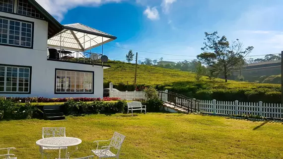 The Tea Garden | Merkez Vilayet - Nuwara Eliya Bölgesi - Nuwara Eliya