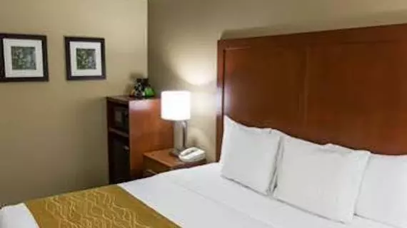 Comfort Inn and Suites | Missouri - Springfield (ve civarı) - Springfield