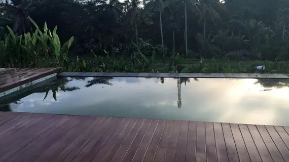 Villa Tegal Tis Ubud | Bali - Ubud