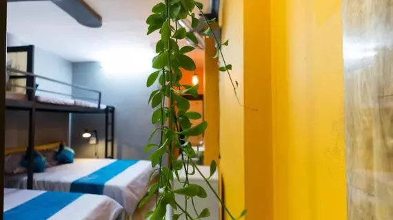 GoCo Hostel | Binh Duong (vilayet) - Ho Şi Min Şehri (ve civarı) - Ho Chi Minh City