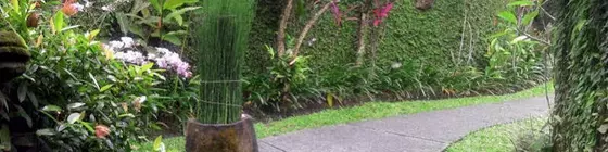 Tunjung Mas Bungalow | Bali - Ubud - Peliatan