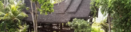 Bambu Indah | Bali - Ubud - Sayan