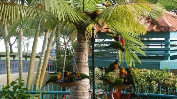 The Esplanade Picnic Point | Queensland - Maroochydore