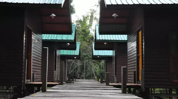 Kinabatangan Sunshine Lodge | Sabah - Kota Kinabatangan - Kampung Bilit