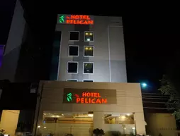 The Pelican Hotel | Pencap - Chandigarh (ve civarı) - Chandigarh